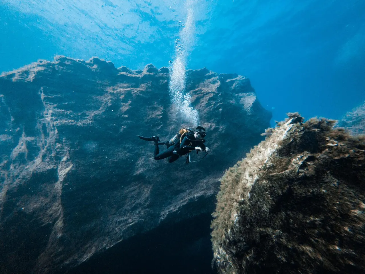 MTA Donates Diving Award Prize Money to Environmental NGOs